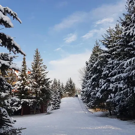 Szczebel Mszana Dolna